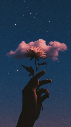 Silhouette holding a flower beneath a pink cloud and stars